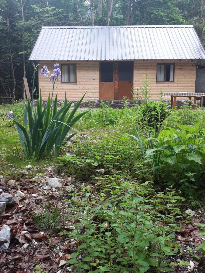 Guesthouse Dioni Valbone Eksteriør bilde